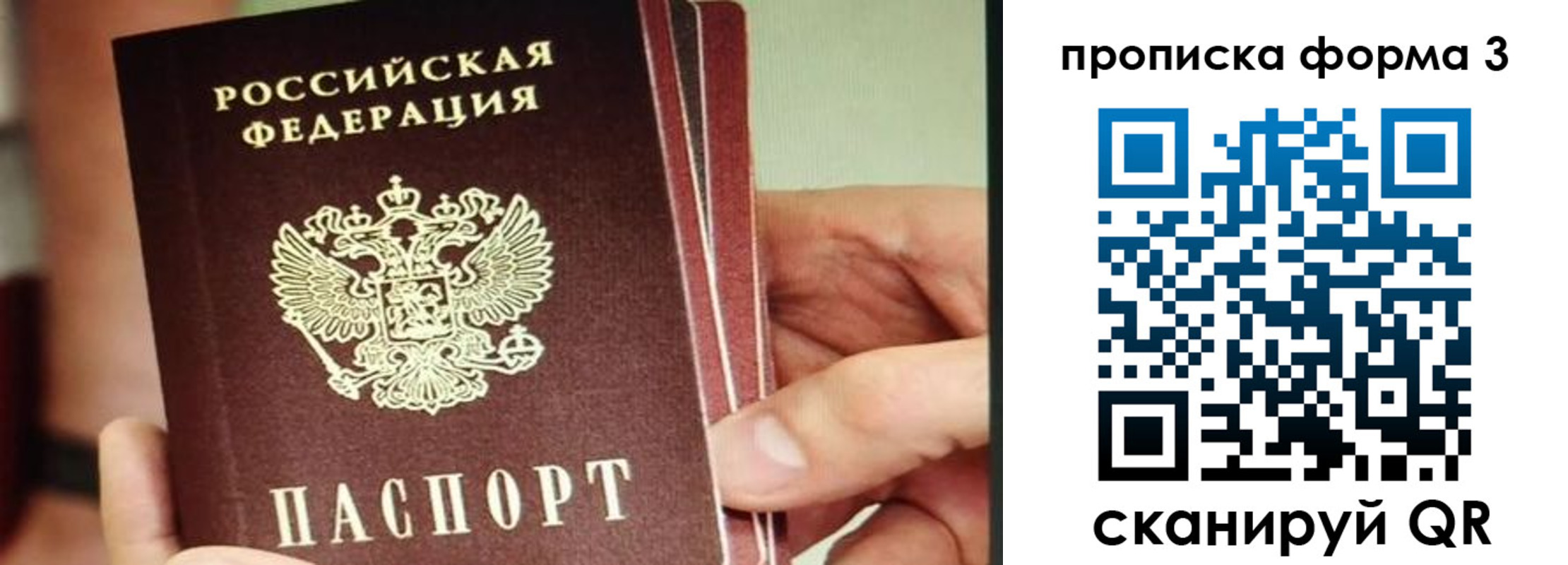 прописка законно в Осинниках